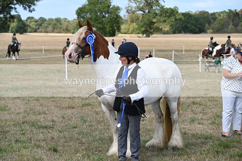 WJ6_6712 - Class 20 In-hand Cob