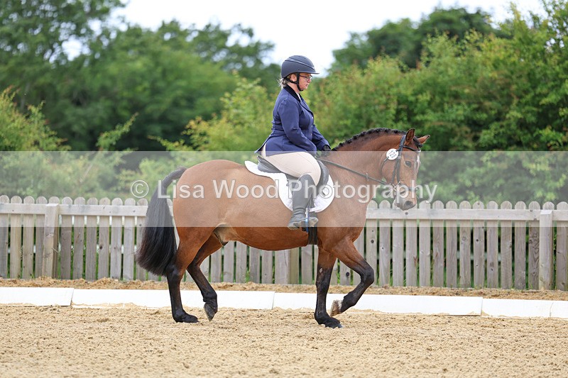 3E7A9531 - Class 2: Intro 1 2024 Section B