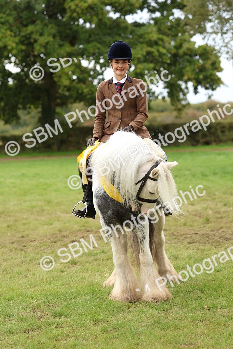 SBM_64661 - S58 - Coloured Pony Ridden