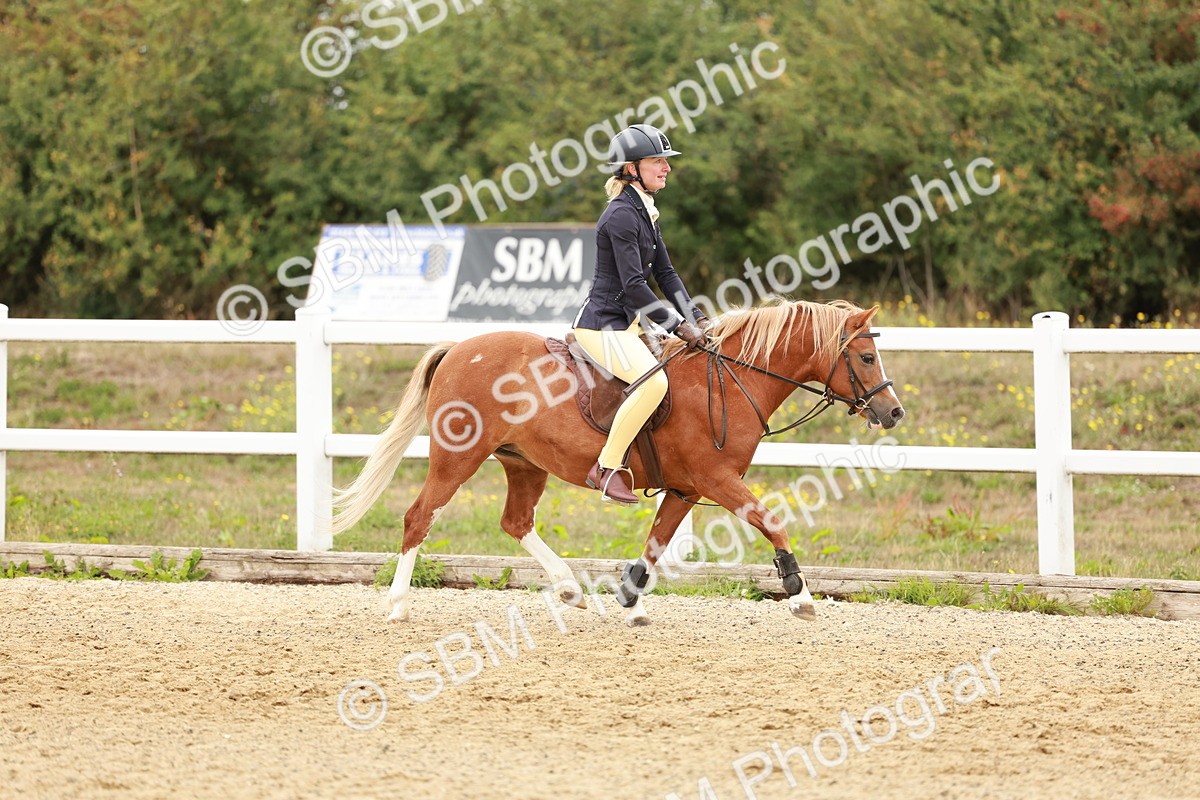 SBM_007477 - Class 2 - 50cm