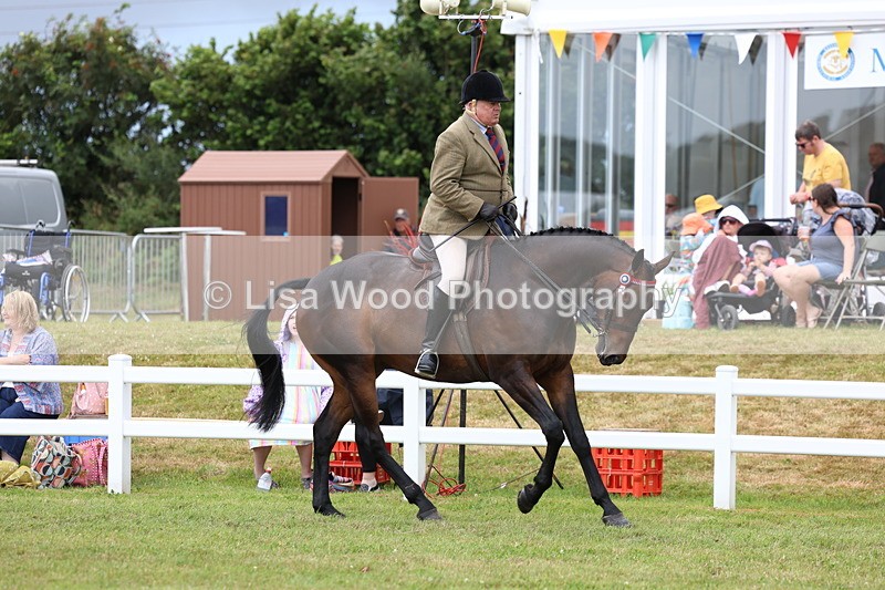 3E7A0927 - Class 8: Open Riding Horse/Hack