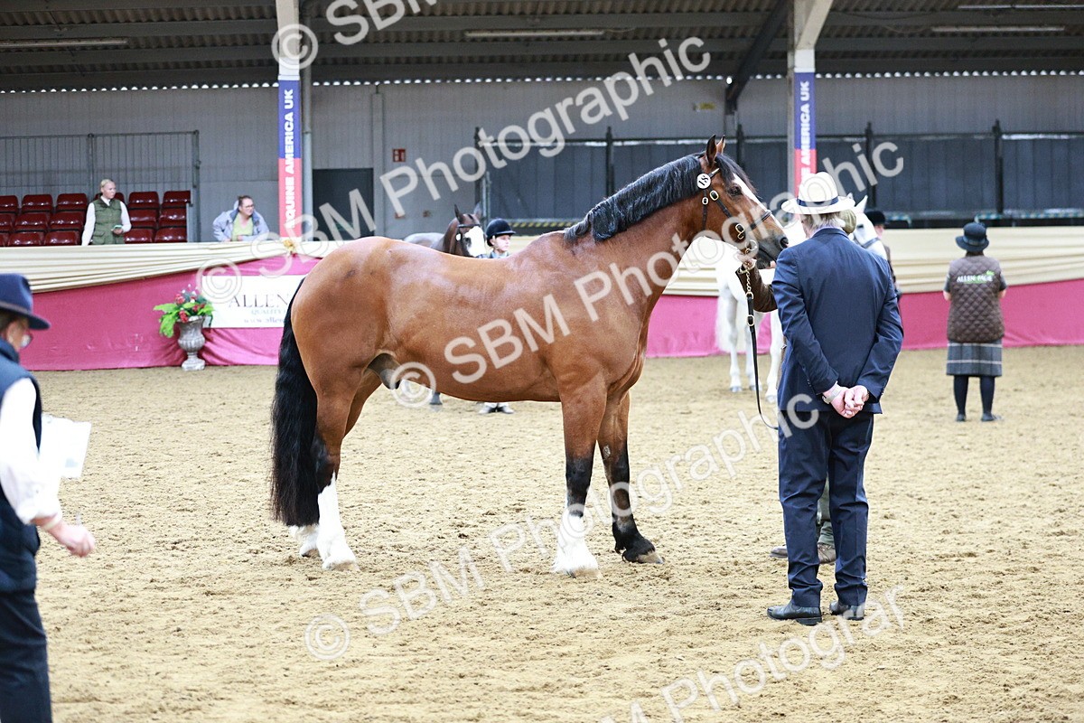 SBM_01219 - Class 3A - Area IH Pre-Vet