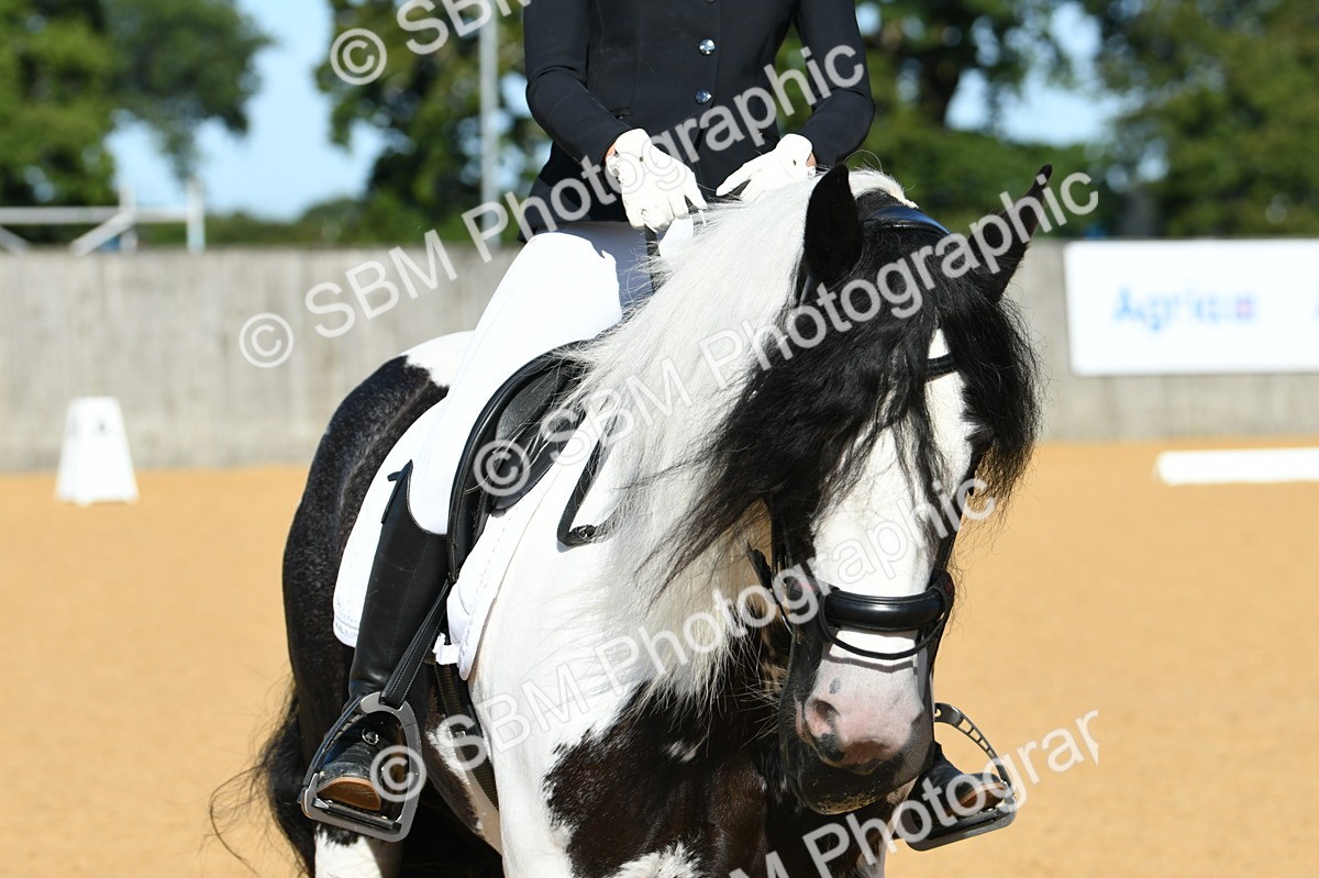 SBM_16274 - D4 - Small Tour Championship - Intro B