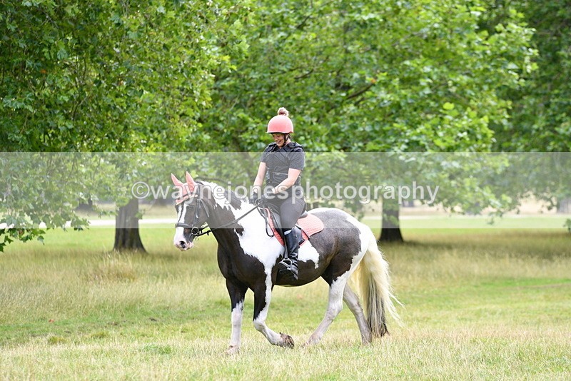 WJ5_2345 - Time at Jump 14:02 to 14:46