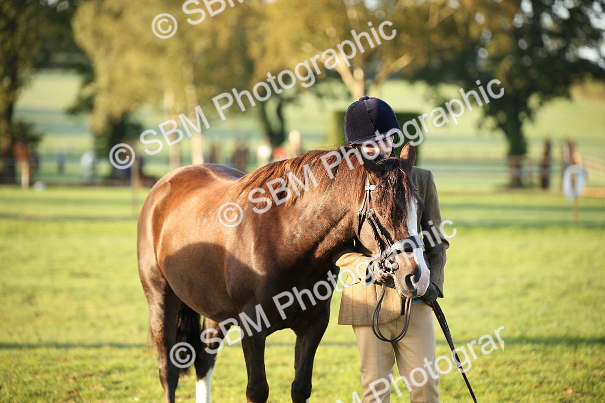 SBM_32288 - S8 - Best Turned Out