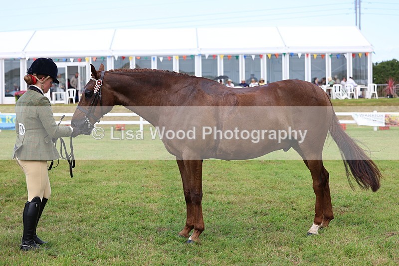 3E7A1085 - Class 8: Open Riding Horse/Hack