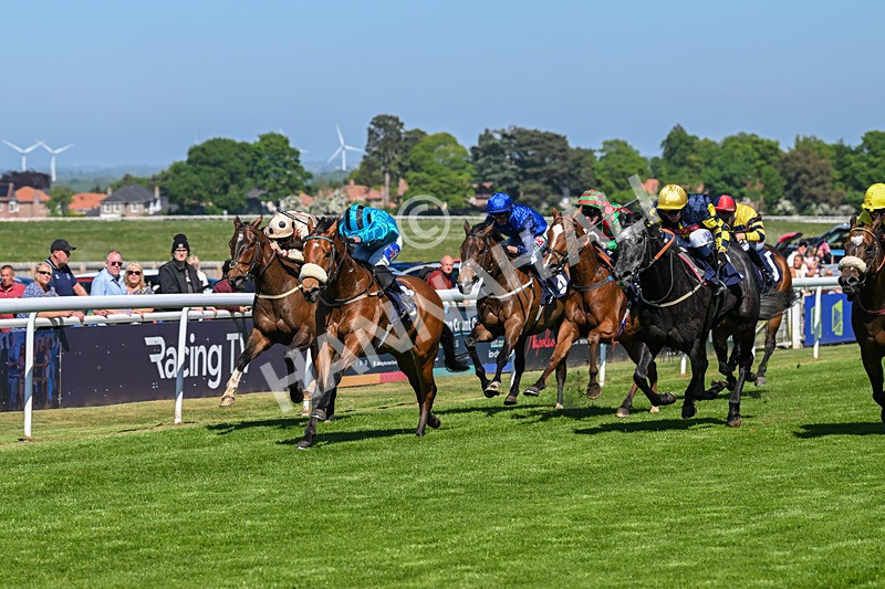 130525-Race 3-Ingleby Archie-9804 - Race 3