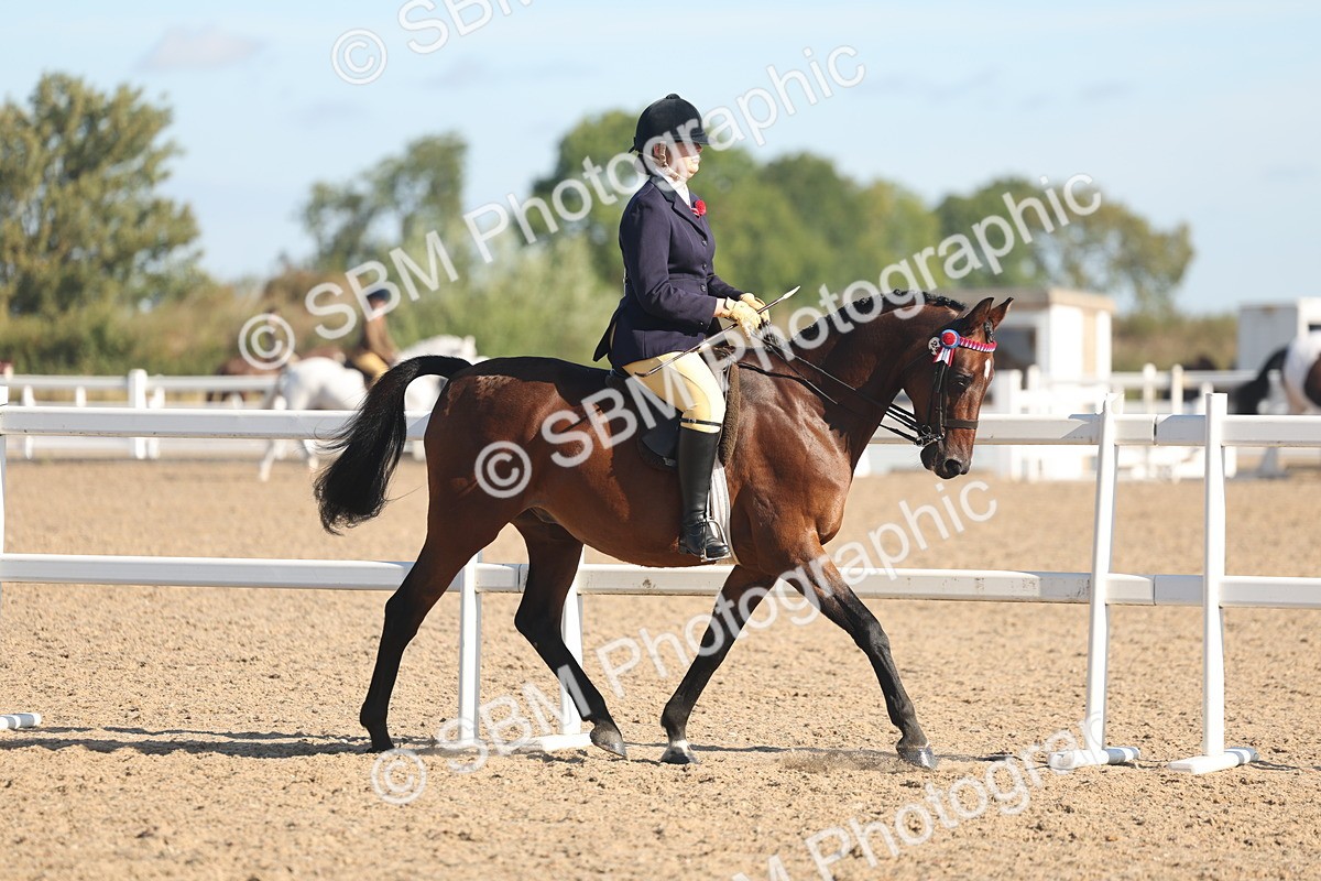 SBM_12273 - Class 304 - Ridden part Bred Horse Pony