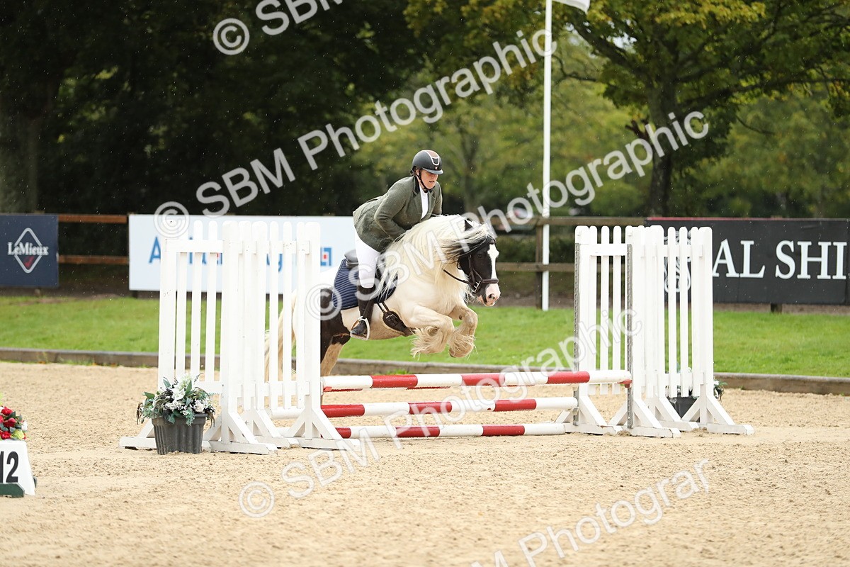 SBM_34428 - J60 Clear Round 50cm