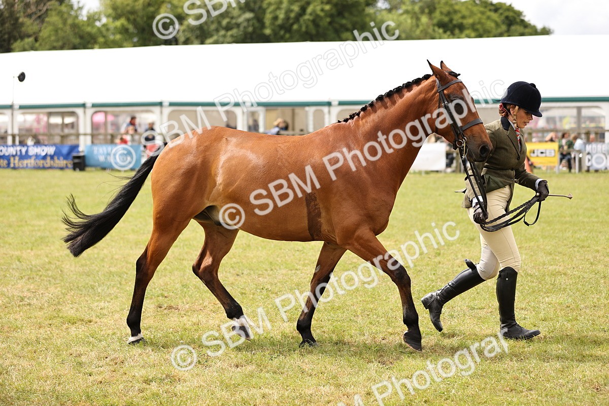SBM_14604 - Class 88-89 - LIHS BSHA Rising Star of Ridden Hunter Type
