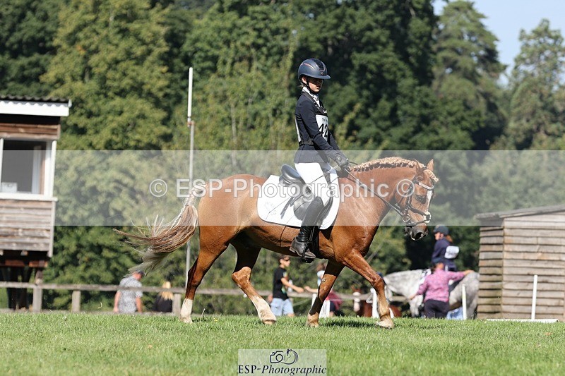 250823A-103623-27745 - Arena D