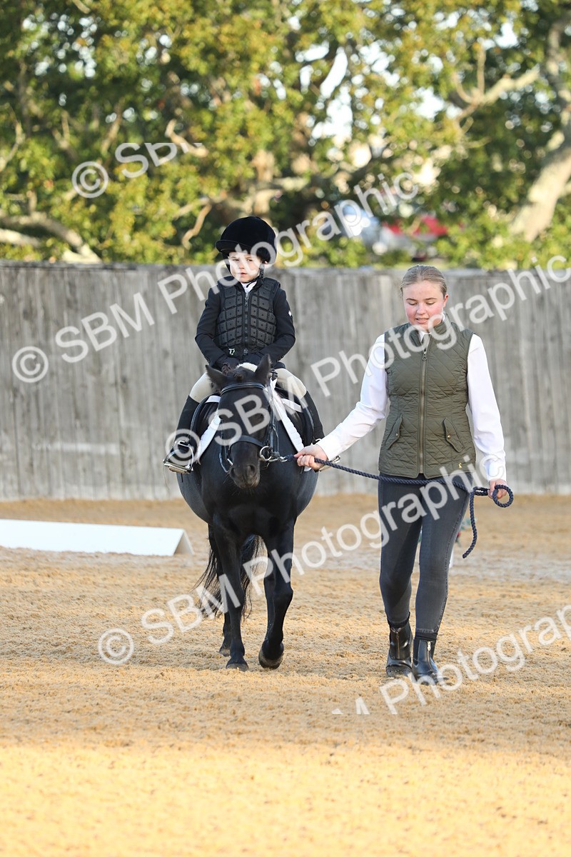 SBM_33570 - D26 - Starers - Lead Rein