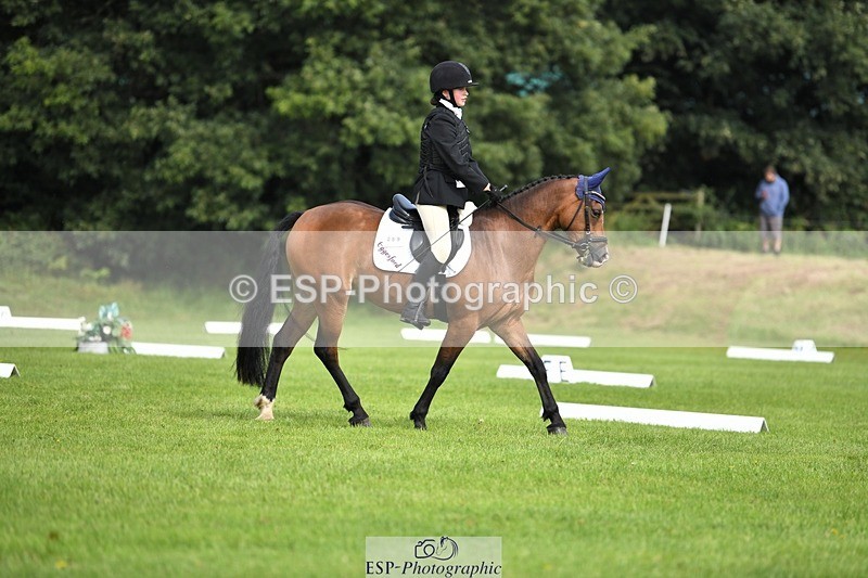 230826-103553-15527 - Sections C & D 10 to End