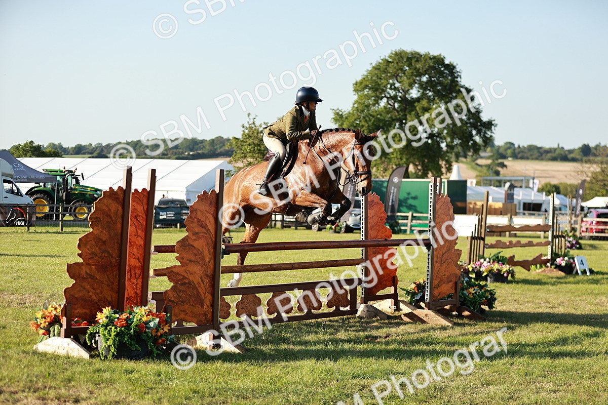 SBM_20372 - Class 117-119 - Sport Horse Working Hunter