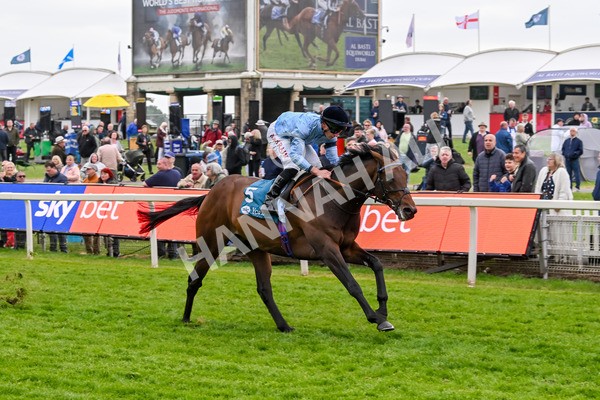 150525-Merchant-5336 - Race 7 5.25pm Haxby Handicap