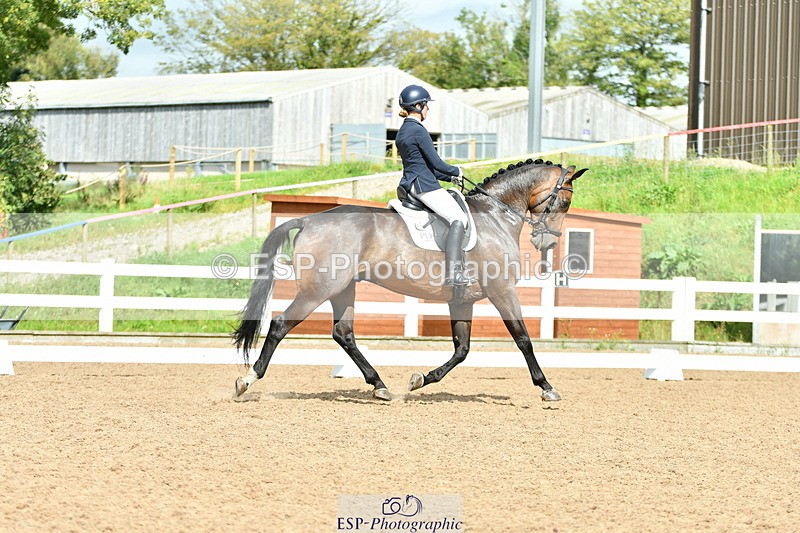 230912A-142620-01318 - Cls 11 Medium 73