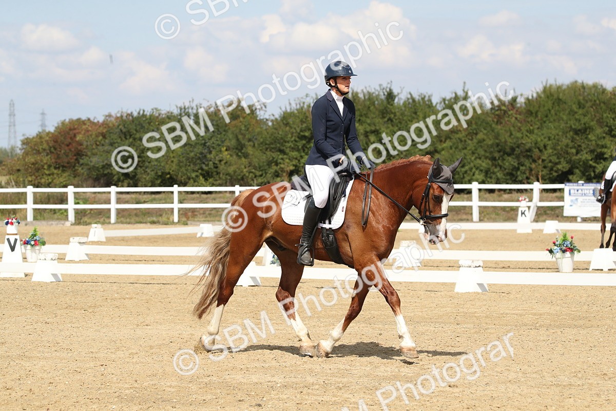 SBM_001446 - Class 2 - Pelim 5 - 11.36.12.32