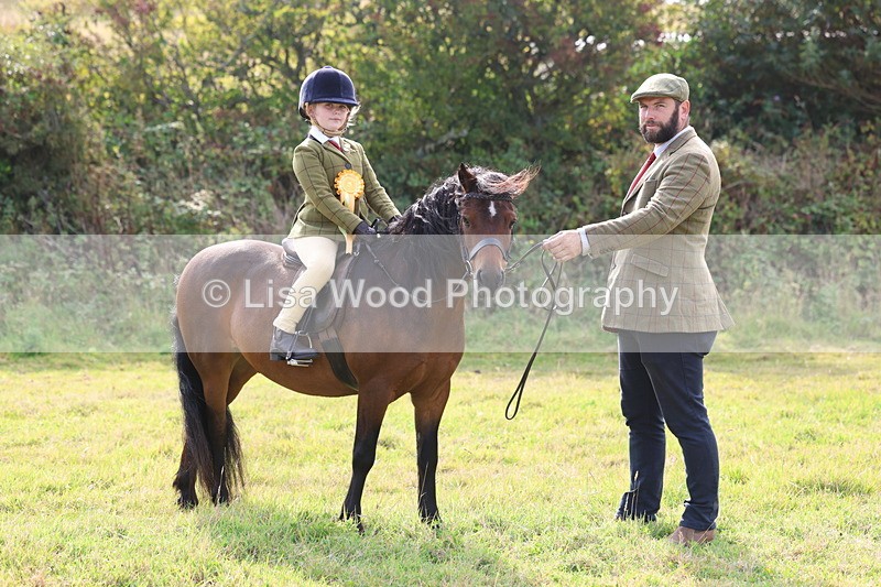 3E7A3778 - Class 2: Lead rein