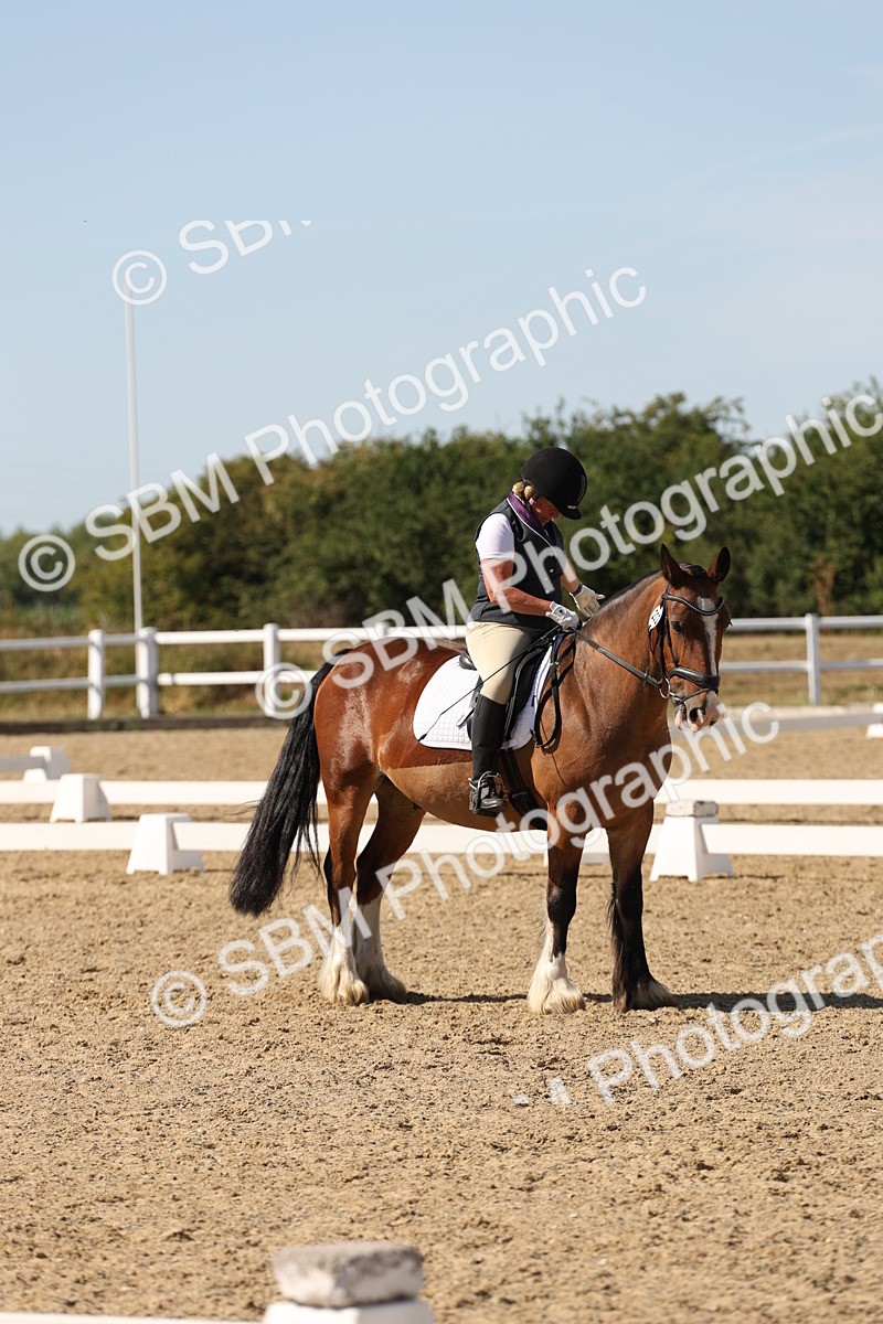 SBM_003782 - Elementary 4