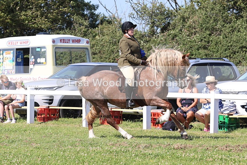 JPP_2052 - Cornish Combination Championship