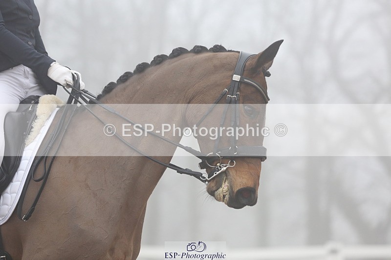 240217A-125225-02967 - 202-hayley.ford-Crimson.gold