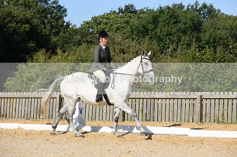 1X9A7742 - Class 9: Open Ridden Hunter