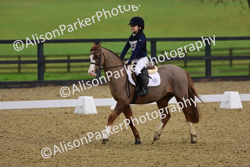 20260125-0649 - Class 9b - Walk Trot Unassisted