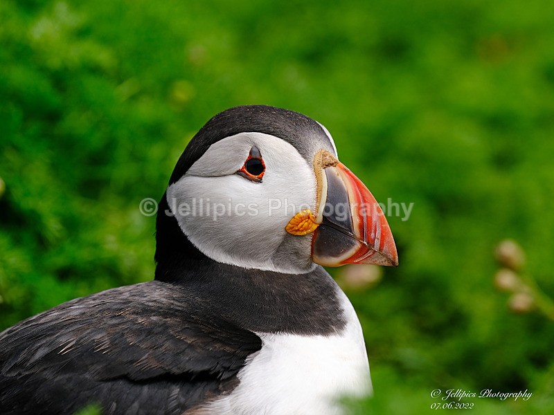  - Wildlife and Nature