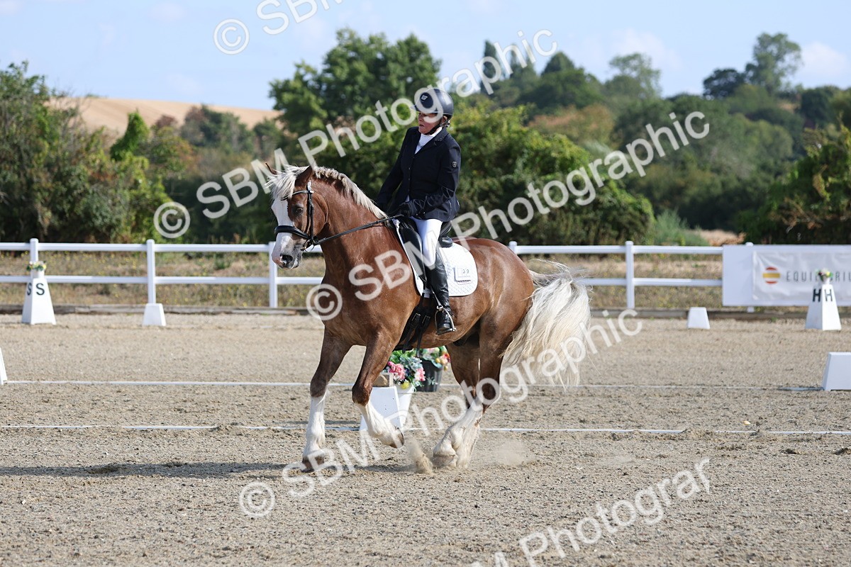 SBM_020257 - Class 21 - M5 Bronze 9.30.10.34