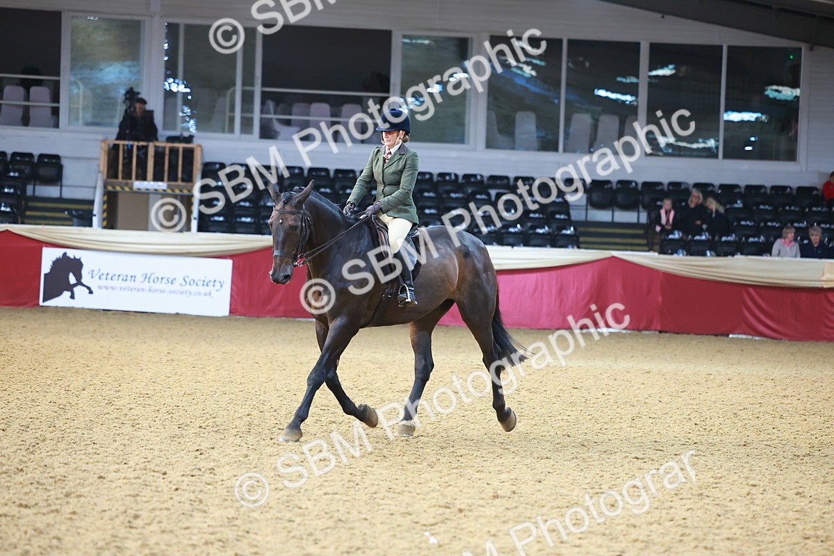 SBM_07687 - Class 101 - HOYS Veteran Qualifier - Ridden Diamond
