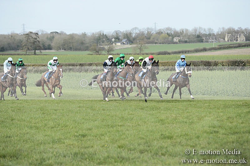 PtP 230319 411 - VWH Hunt Siddington Point-to-Point Racing 23/03/19