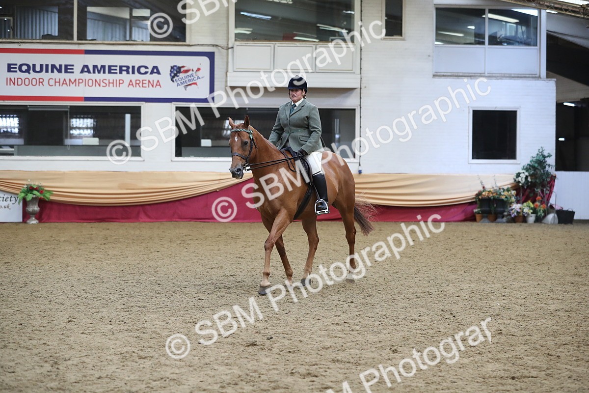 SBM_12331 - Class 108 Ridden Retired Racehorse- Pre Judging