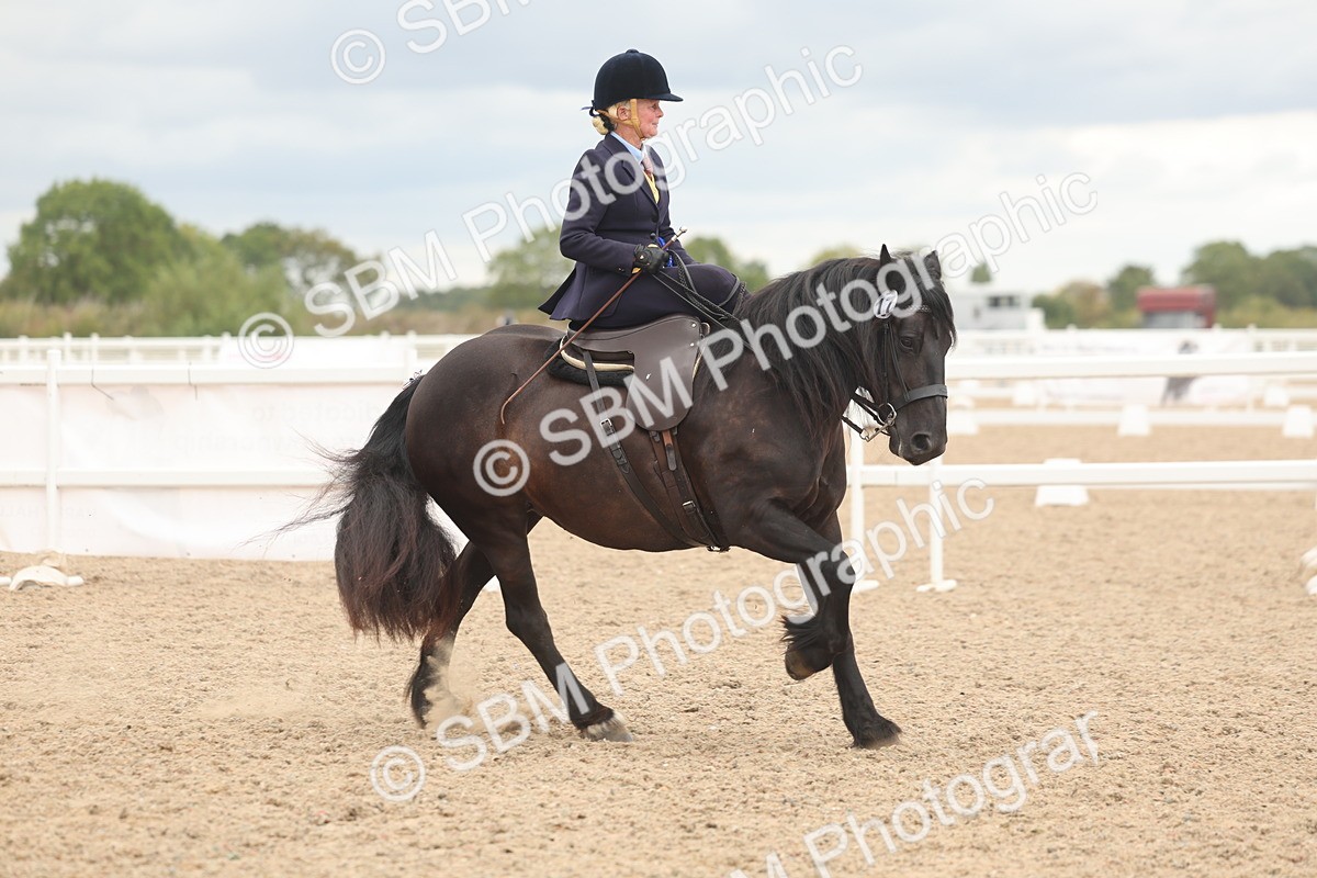 SBM_06397 - Class 23 - SSA - Classical