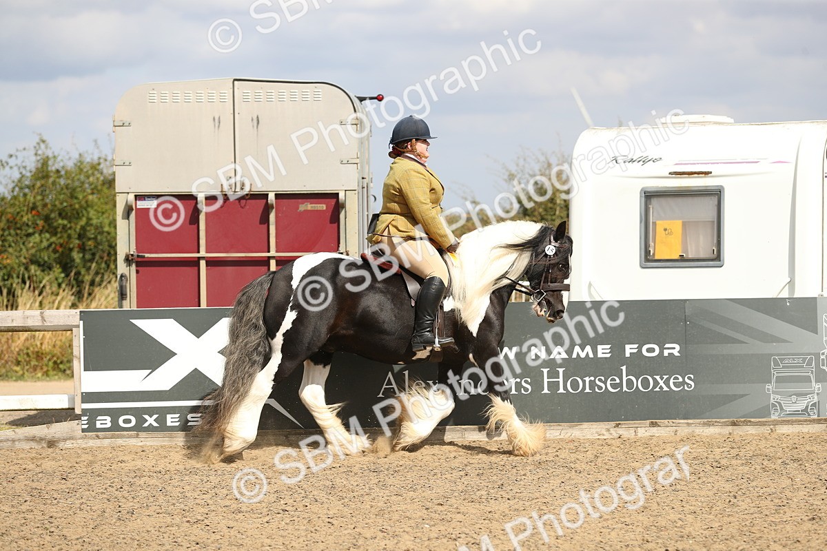 SBM_04288 - Class 46a Style & Performance 50cm (15-19)