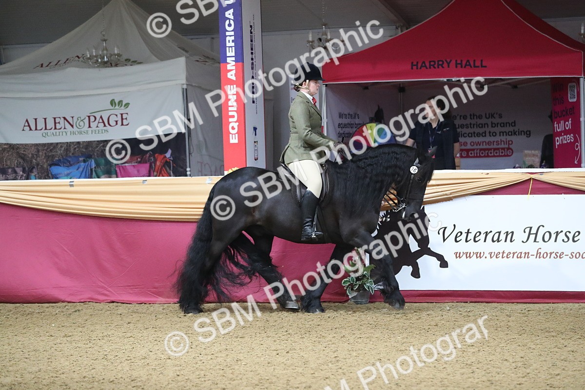 SBM_10349 - Class 102 Equitation (best rider) Adult
