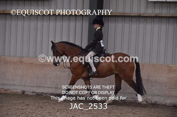 JAC_2533 - CLASS 3 Intermediate Working Hunter