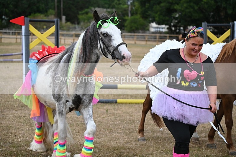 WJ6_8732 - Class 11 Fancy Dress