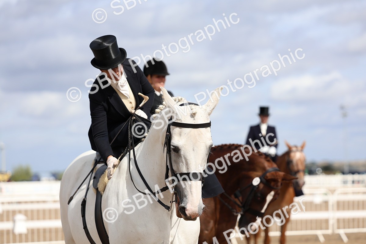 SBM_03260 - Class 22 - SSA Equitation (any age)