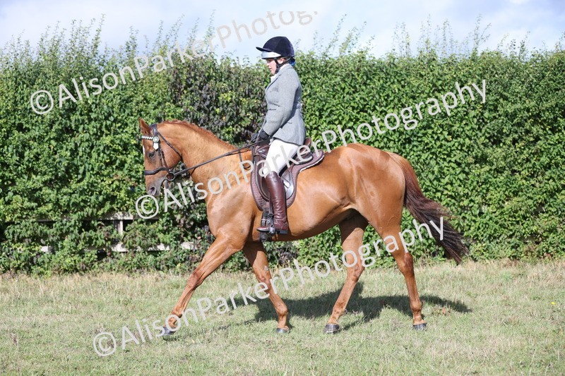 20250831-0897 - Class 14 - Ex Racehorse