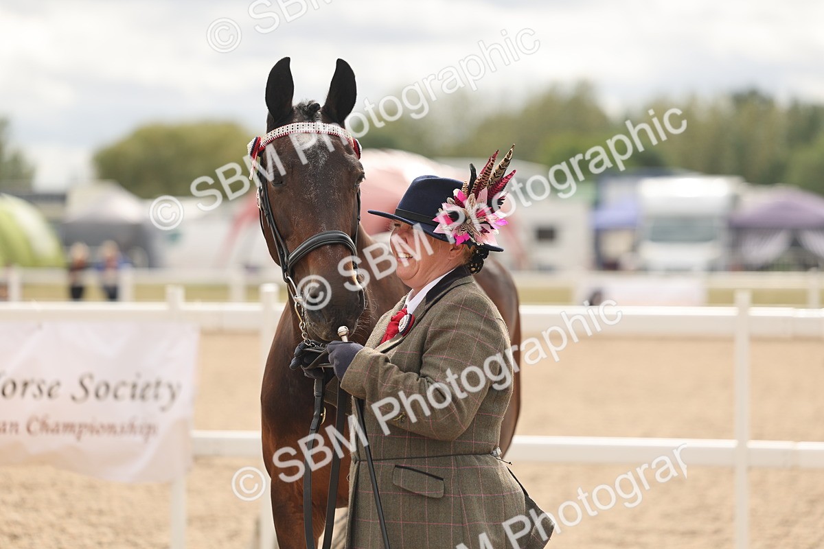 SBM_16989 - Class 312 - IH Competition Horse-Pony