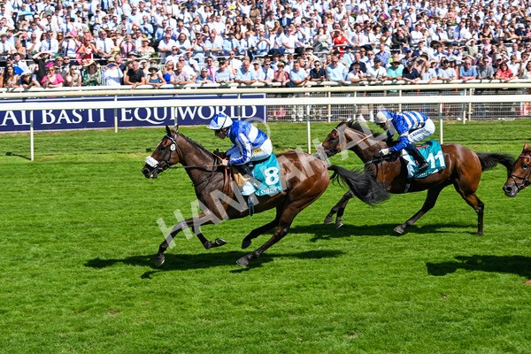 120725-Race 3-Fox Legacy-5702 - Race 3 3.10pm John Smith's Cup Handicap