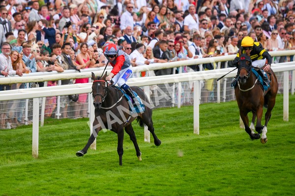 290723-Race 7-Bajan Bandit-1091 - Race 7 5.45pm Sky Bet Extra Places Every Day Handicap