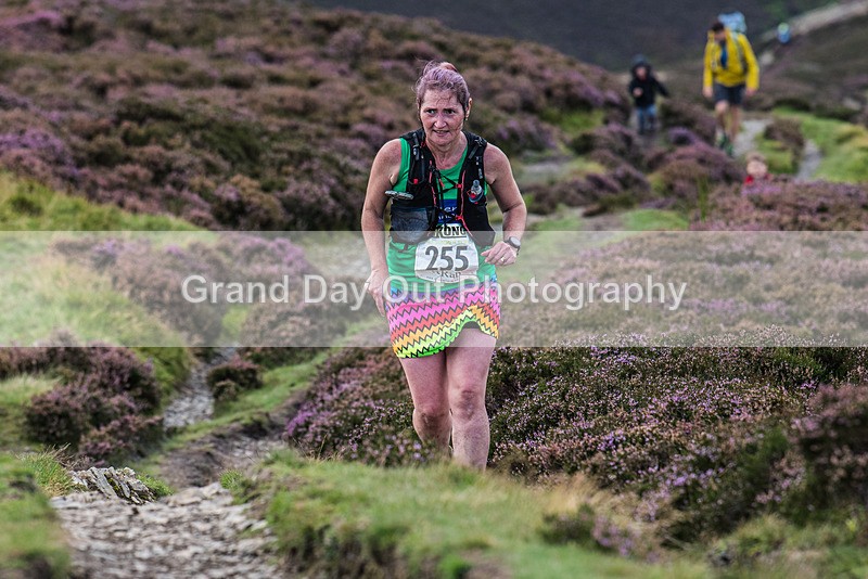 Barrow-486 - Barrow Fell Race Monday 28th August 2023
