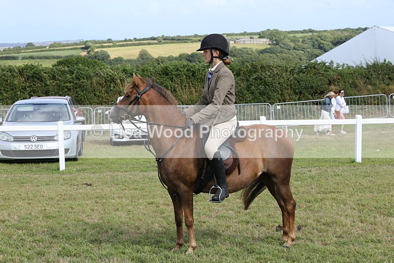 1X9A5825 - Class 40: NPS Welsh A & B