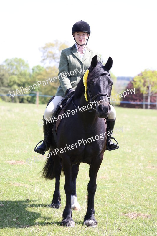 20250427-3307 - Class 33 - Best Pony 14.2hh and Under