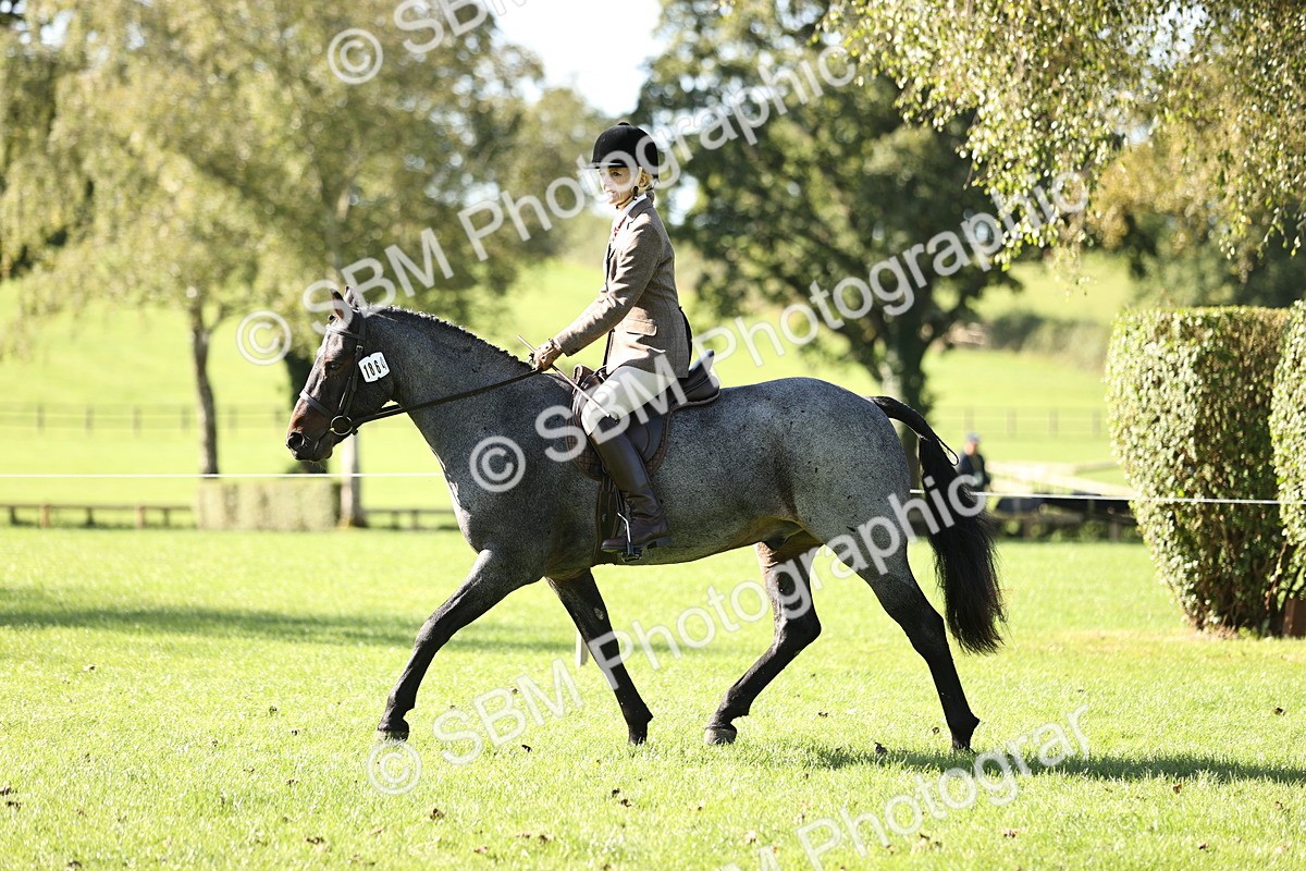 SBM_16911 - S2 - TSR Ridden Pony Showing
