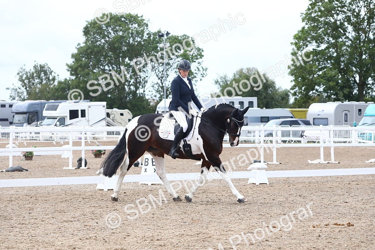 SBM_02119