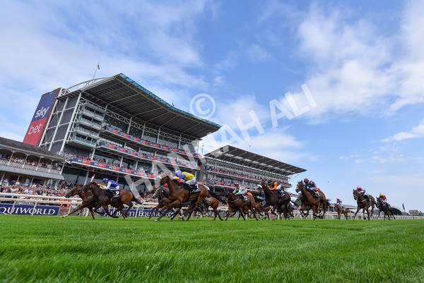 250725-Race 1-Pressures On - Quest For Fun-7627 - Race 1 5.30pm eventmasters.co.uk Handicap