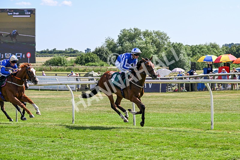 080726-Race 4-Beyond The Bar-7341 - Race 4 15.30pm All Races Live On Racing TV Handicap