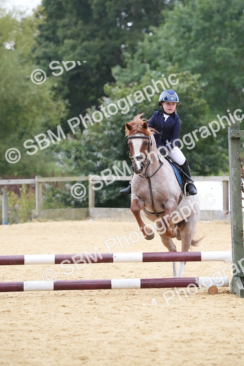 SBM_74519 - J4 - Mini Tour Junior Pony 45cm Championship